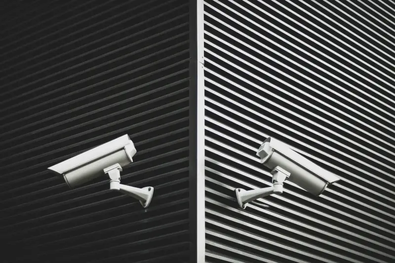 Telecamere di videosorveglianza IP e analogica